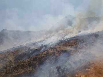 بی‌توجهی گردشگران، پارک کوهستانی دراک شیراز را به آتش کشید