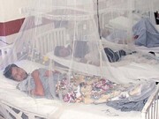 Dengue fever strikes Pakistan again