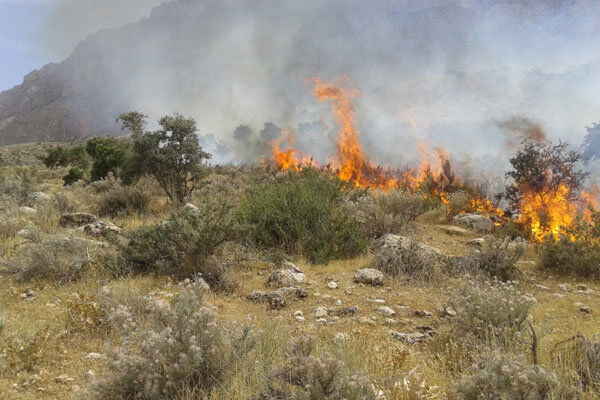 خسارت پنج میلیاردریالی آتش سوزی به ۲۹۲ هکتار از مراتع بادامستان طارم
