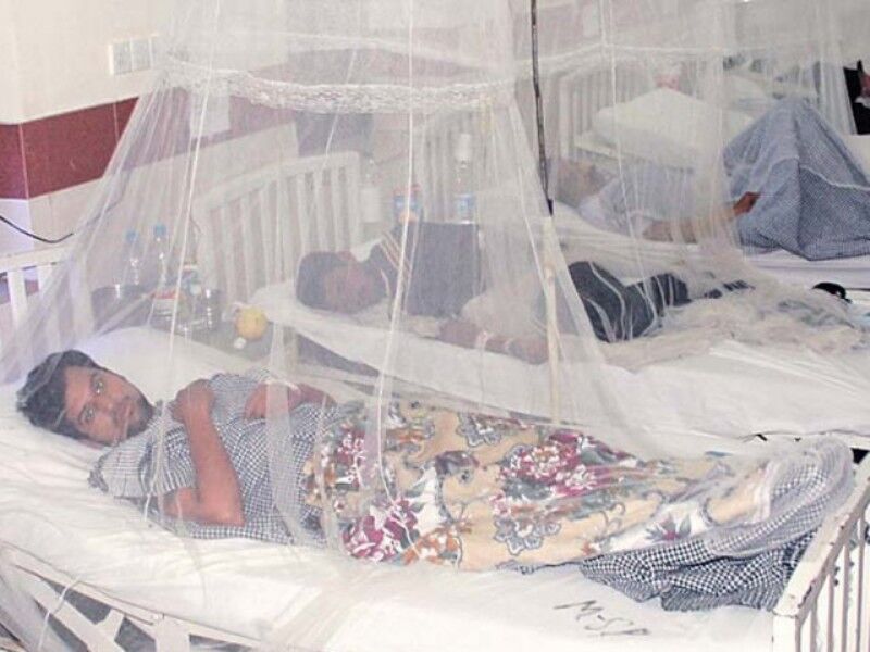 Dengue fever strikes Pakistan again