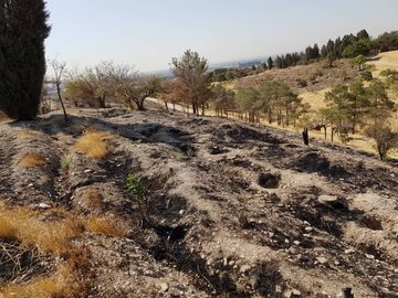 مهار آتش‌سوزی در بوستان جنگلی چیتگر