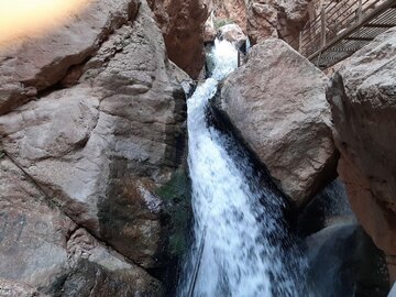 استاندار سمنان در شاهرود