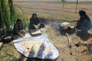 مشارکت‌جویی بیمه‌ای بانوان روستایی شیروان، بالاتر از استان