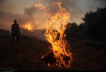 کودک سه ساله در آتش سوخت