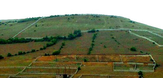 کشف زمین خواری بزرگ در اراضی ونک تهران

