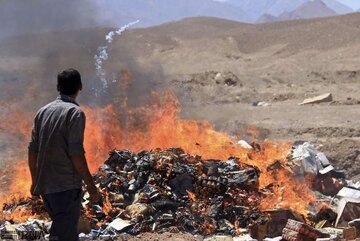  ۳ تن مواد غذایی فاسد در سردشت امحا شد