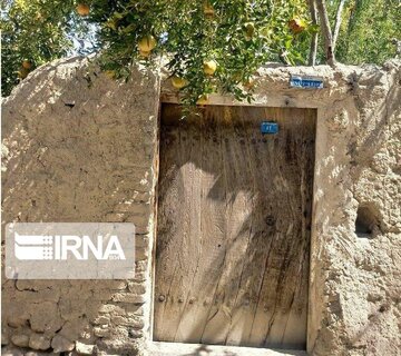 Garden alleys in Fall in center Iran