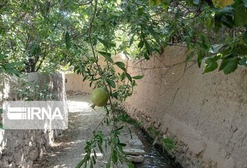 Garden alleys in Fall in center Iran