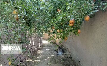 Garden alleys in Fall in center Iran