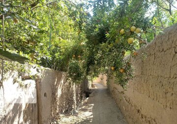 Garden alleys in Fall in center Iran