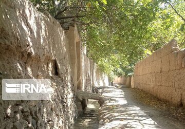 Garden alleys in Fall in center Iran