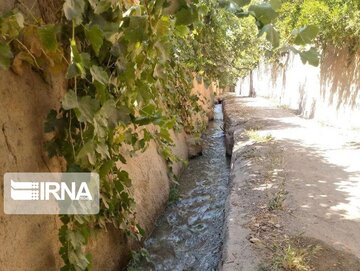 Garden alleys in Fall in center Iran