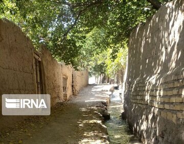 Garden alleys in Fall in center Iran