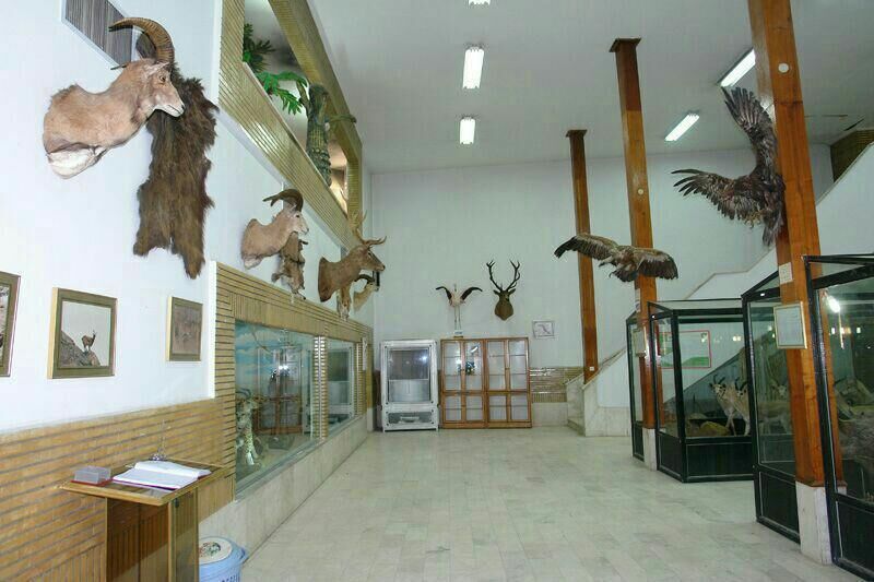 بازدید از موزه تاریخ طبیعی زنجان پنجم مهرماه رایگان است