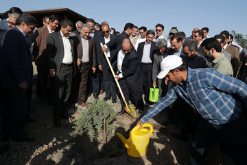 مراسم شروع عمليات اجرايي درختكاري و شبكه آبياري عرصه هاي كمربند سبز جنوبي