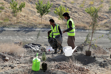 مراسم شروع عمليات اجرايي درختكاري و شبكه آبياري عرصه هاي كمربند سبز جنوبي