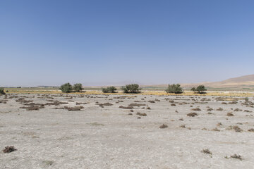 بحران خشکسالی در تالاب بین المللی یادگارلو