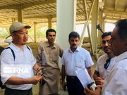 Japanese delegation pays visit to Chabahar fishery capacities