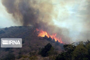  آتش‌سوزی‌های پراکنده در  جنگل‌های ایران 