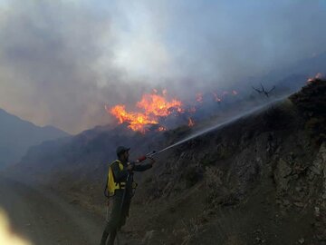 آتش سه هکتار از عرصه جنگلی مرزن‎آباد چالوس را سوزاند