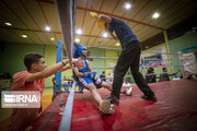 Boxing tournament in western Iran