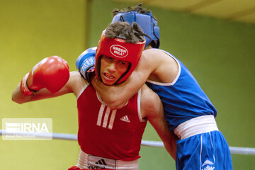 Boxing tournament in west of Iran