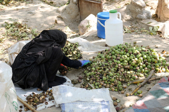 سارقان دسترنج