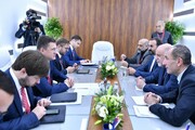 دیدار دوجانبه وزیران نفت و انرژی ایران و روسیه 