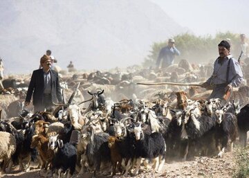 ایل عشایر سنگسر در مسیر ثبت ملی