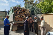 ۷۳ تُن محصولات جنگلی قاچاق در کردستان کشف شد