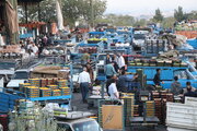 مهلت ۳‌ماهه دادستان برای استقرار باجه‌های فاکتور الکترونیک در میدان مرکزی میوه و تره‌بار