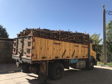 کامیون حامل ۱۰ تُن چوب قاچاق در مهاباد متوقف شد