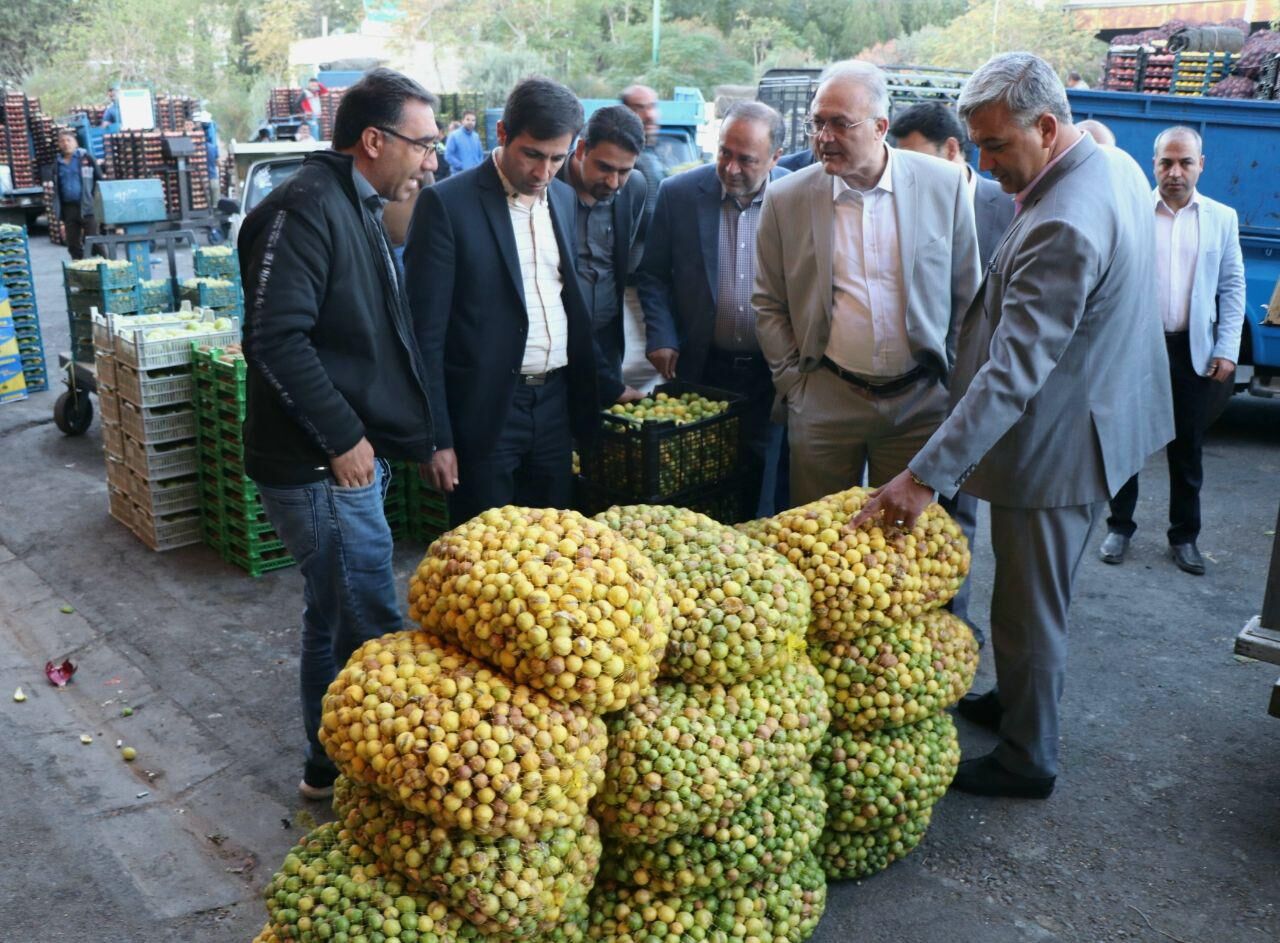 معاون استاندار: میدان مرکزی میوه و تره‌بار اصفهان نیازمند مدیریت مدرن است 