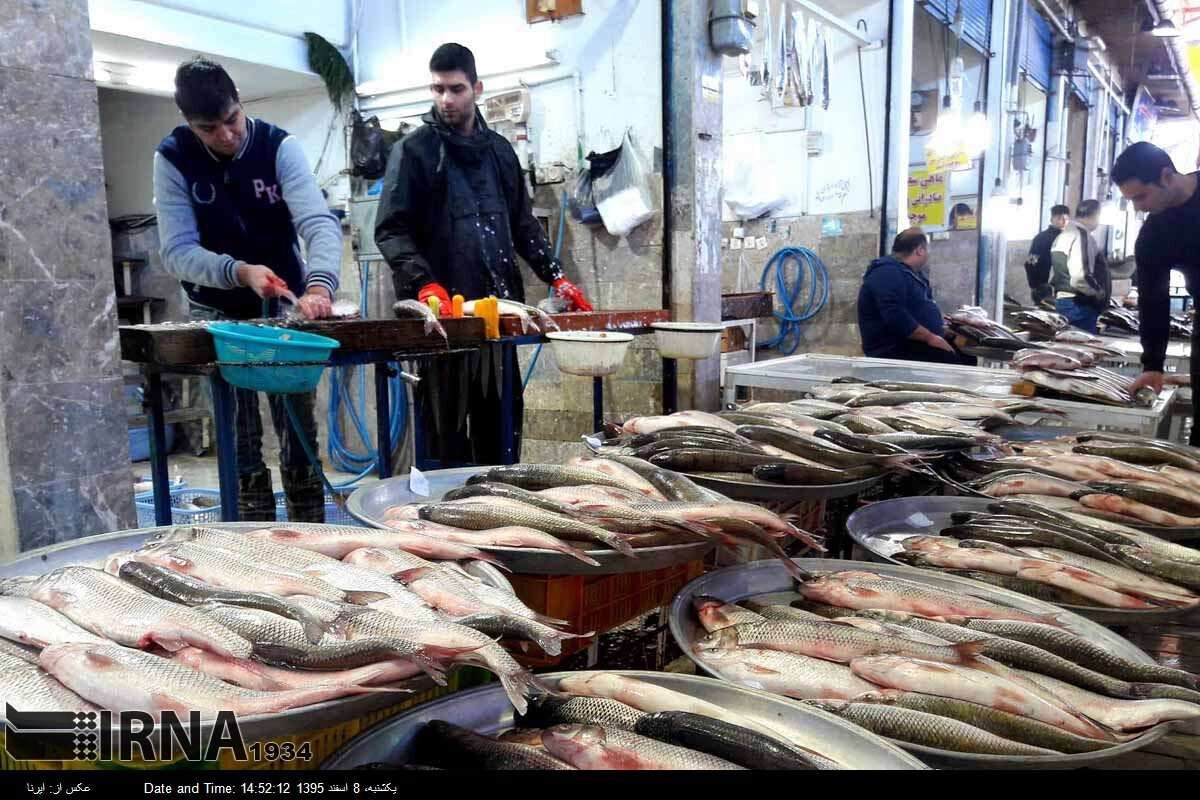 سفره ایرانی چشم انتظار ماهیان دریای خزر