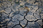 بدترین خشکسالی ۶۰ سال اخیر در شیلی
