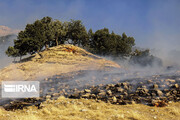 ۳۰ هکتار از مراتع دهلران در آتش سوخت 


