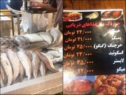 فروش آبزیان حرام گوشت در هرمزگان زیبنده نیست
