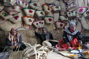 طرح پایلوت توسعه اقتصادی در هشت روستای دهلران اجرا می شود 