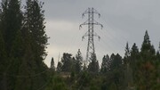 برق ۹۰۰هزار خانوار در کالیفرنیا قطع می شود