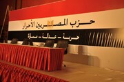 حزب مصری: حامی تروریست نمی تواند با آن مبارزه کند