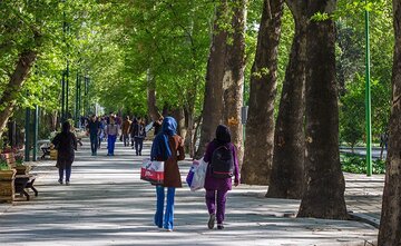 میزان بالای سقط درمانی موجب کاهش جمعیت آینده کشور می‌شود