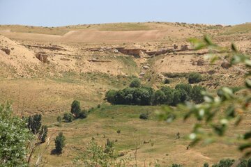 جاذبه سنگ و گیاه در تکاب