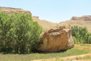 جاذبه سنگ و گیاه در تکاب