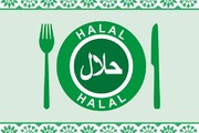 Iran bereit zur Zusammenarbeit mit Kroatien bei der Lieferung von Halal-Produkten