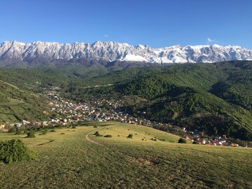 پاییز مازندران در جنگل های راش سوادکوه