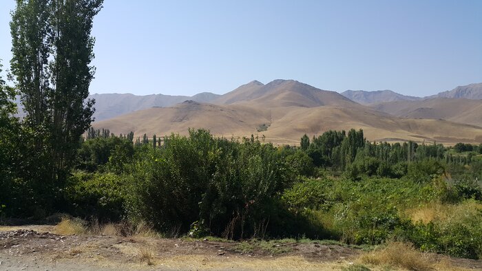 طبیعت زیبای روستای مانیزان روستای هدف گردشگری ملایر