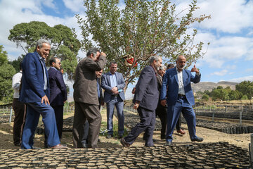 سفر رئیس سازمان جنگل‌ها، مراتع و آبخیزداری کشور به کردستان