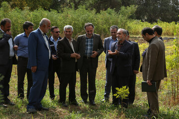 سفر رئیس سازمان جنگل‌ها، مراتع و آبخیزداری کشور به کردستان