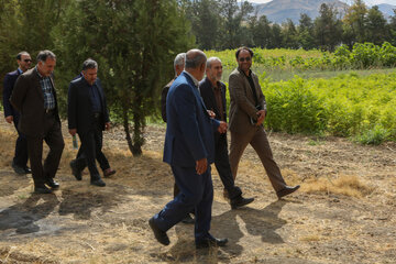 سفر رئیس سازمان جنگل‌ها، مراتع و آبخیزداری کشور به کردستان