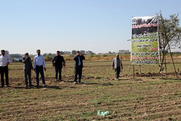 آموزش سمپاشی مزارع کشاورزی تبریز توسط پهپاد